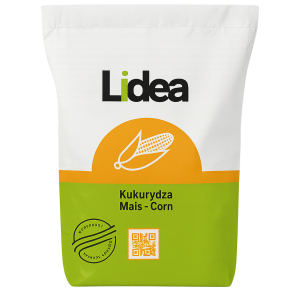 Kukurydza LID 2334C