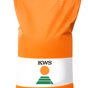 kukurydza kws amavit fao 220 230