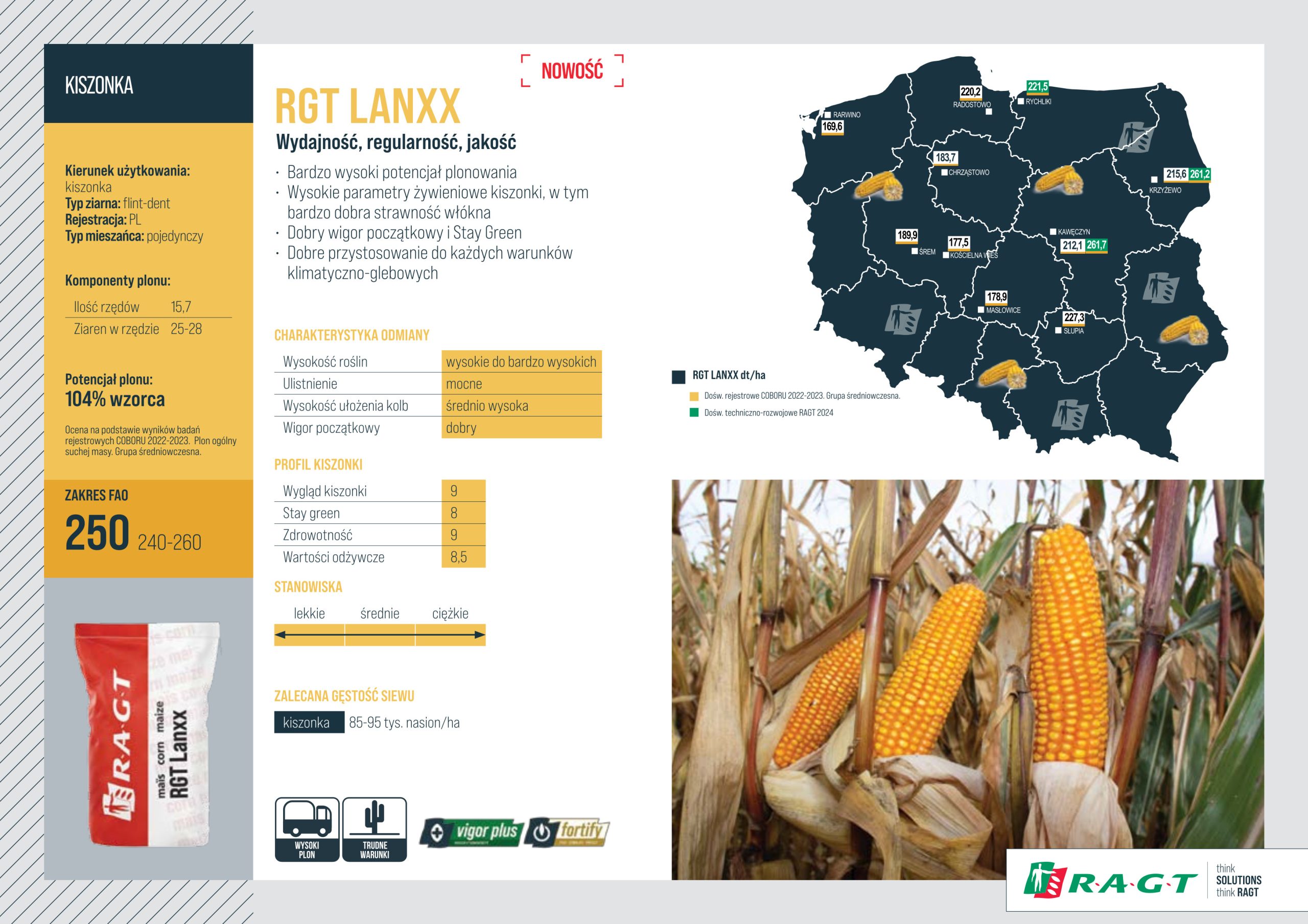 kukurydza rgt lanxx fao 250(50tyś) ziarno kiszonka