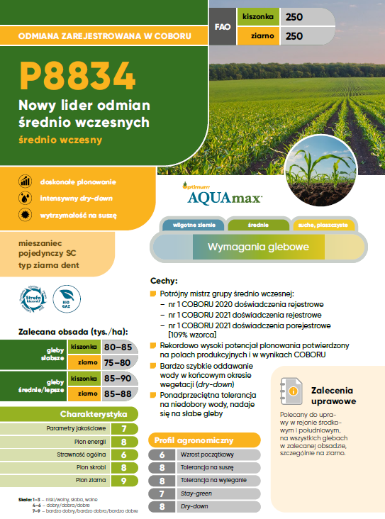 kukurydza p8834 (80tyś) fao 250