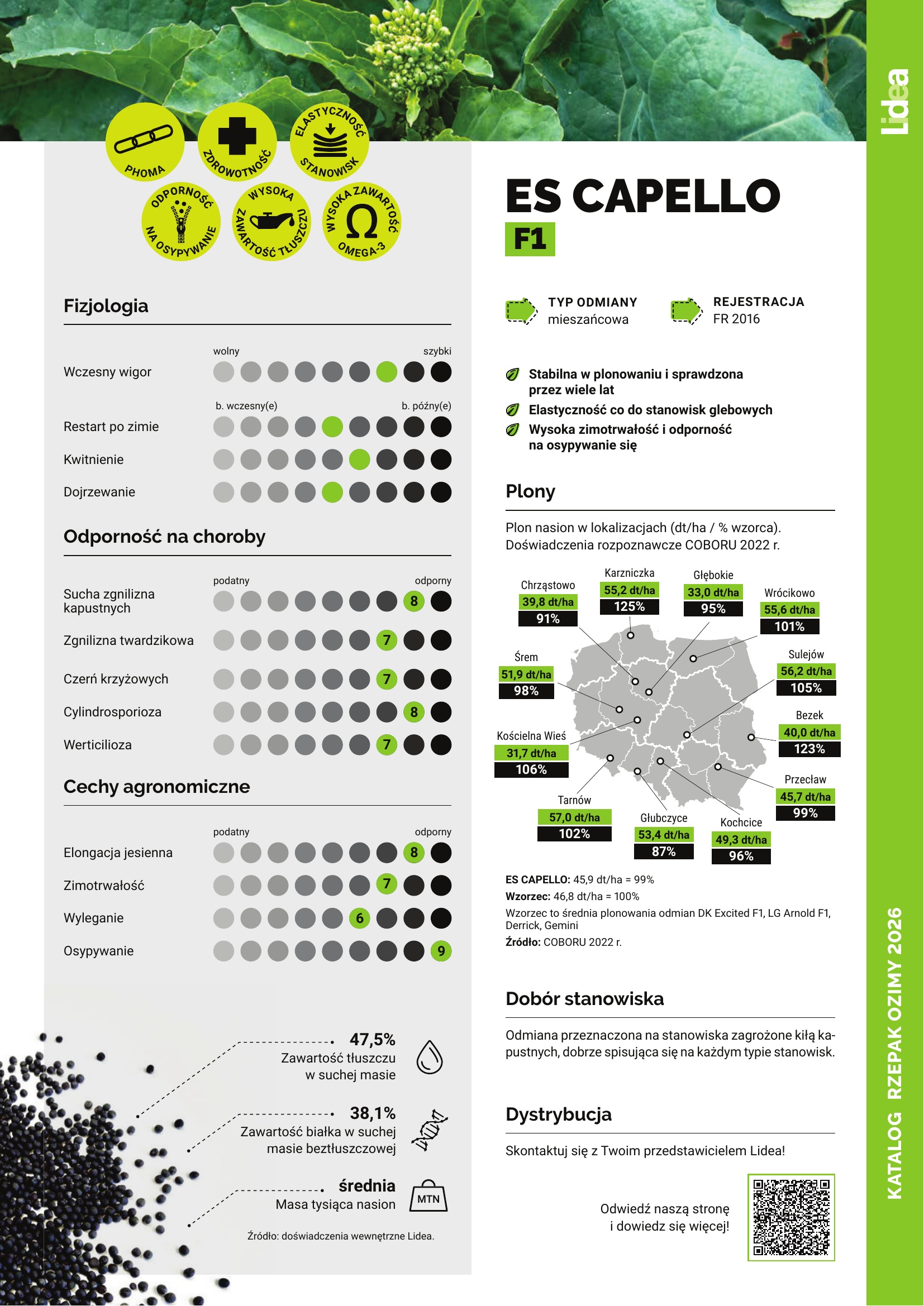 rzepak ozimy ES Capello F1
