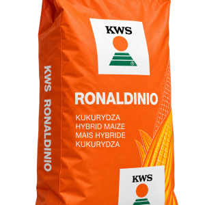 Nasiona kukurydzy KWS Ronaldinio FAO 260 – ziarno i kiszonka