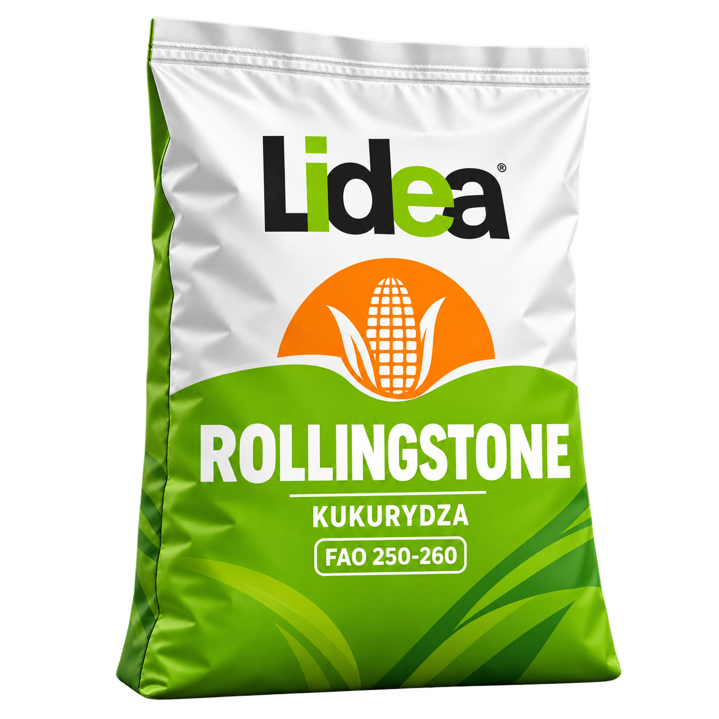 lidea rollingstone kwadrat Nasiona kukurydzy Rollingstone FAO 250–260 (50 tys.) – kiszonka i biogaz
