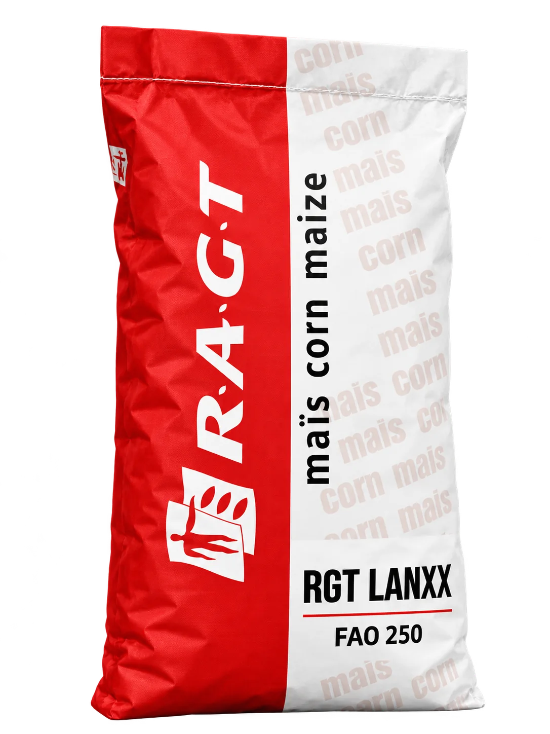rgt lanxx Nasiona kukurydzy RGT LANXX FAO 250 (50 tys.) – kiszonka i biogaz