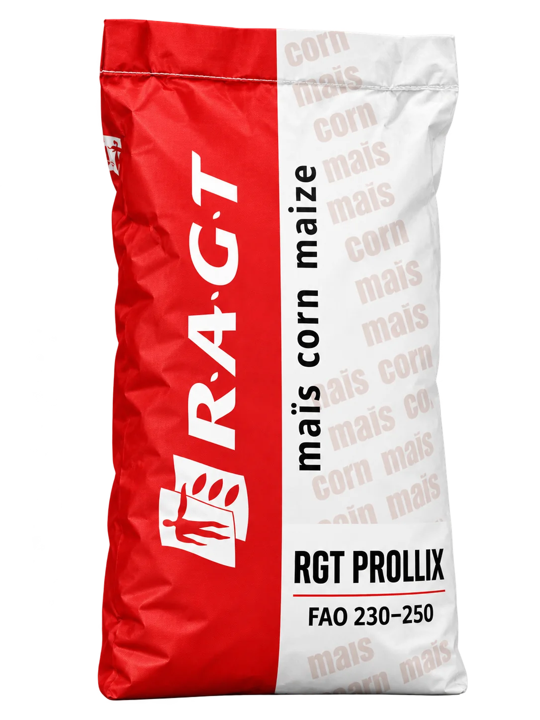 rgt prollix Nasiona kukurydzy RGT Prollix FAO 230–250 (50 tys.) – ziarno i kiszonka