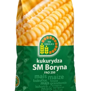 Nasiona kukurydzy SM Boryna FAO 250 (50 tys.) – kiszonka i biogaz