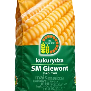 Nasiona kukurydzy SM Giewont FAO 260 (50 tys.) – kiszonka, ziarno i CCM