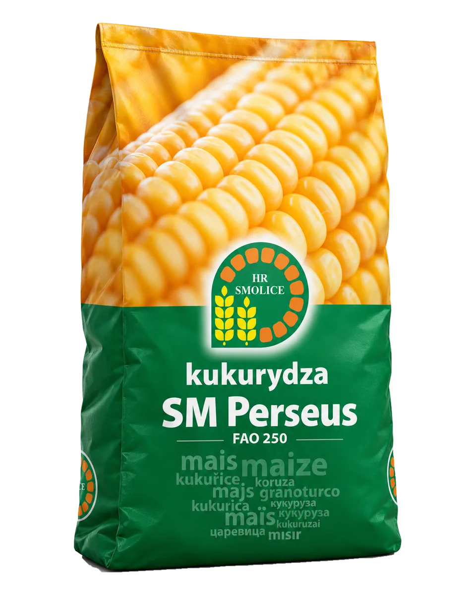sm perseus Nasiona kukurydzy SM Perseus FAO 250 (50 tys.) – kiszonka i biogaz