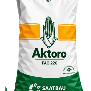 Nasiona kukurydzy AKTORO FAO 220 (50 tys.) – ziarno