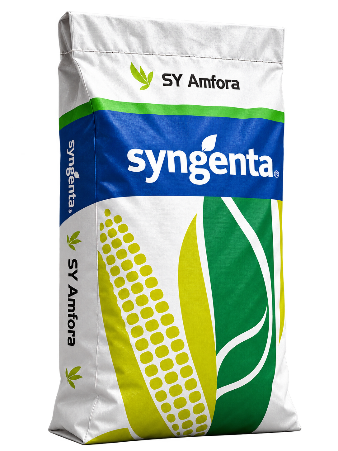syngenta amfora Nasiona kukurydzy SY Amfora FAO 260–270 (50 tys.) – kiszonka