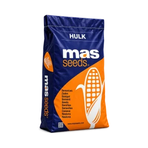 Nasiona kukurydzy MAS HULK FAO 250 (80 tys.) – kiszonka
