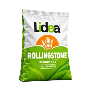 Nasiona kukurydzy Rollingstone FAO 250–260 (50 tys.) – kiszonka i biogaz