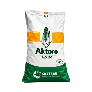 Nasiona kukurydzy AKTORO FAO 220 (50 tys.) – ziarno