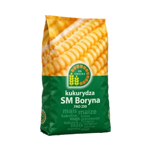 Nasiona kukurydzy SM Boryna FAO 250 (50 tys.) – kiszonka i biogaz