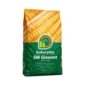 Nasiona kukurydzy SM Giewont FAO 260 (50 tys.) – kiszonka, ziarno i CCM