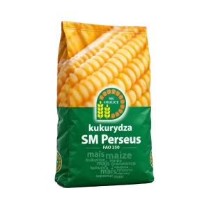 Nasiona kukurydzy SM Perseus FAO 250 (50 tys.) – kiszonka i biogaz
