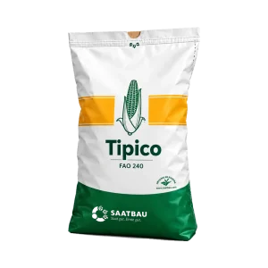 Nasiona kukurydzy TIPICO FAO 230–240 (50 tys.) – ziarno i kiszonka