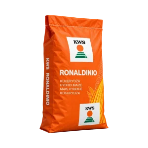 Nasiona kukurydzy KWS Ronaldinio FAO 260 – ziarno i kiszonka
